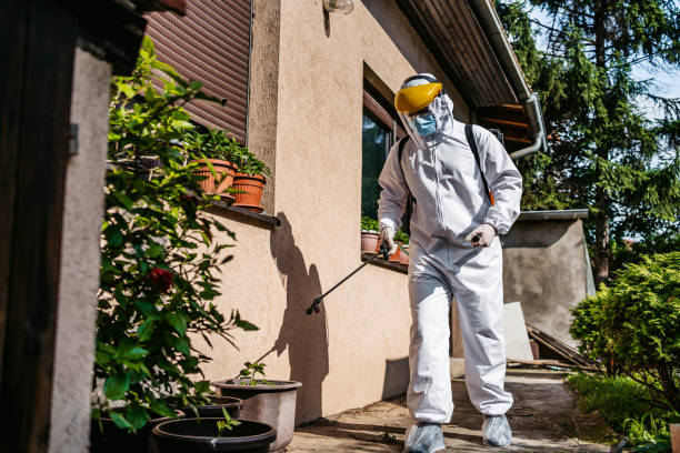 Flea Control Services in Wendell, ID