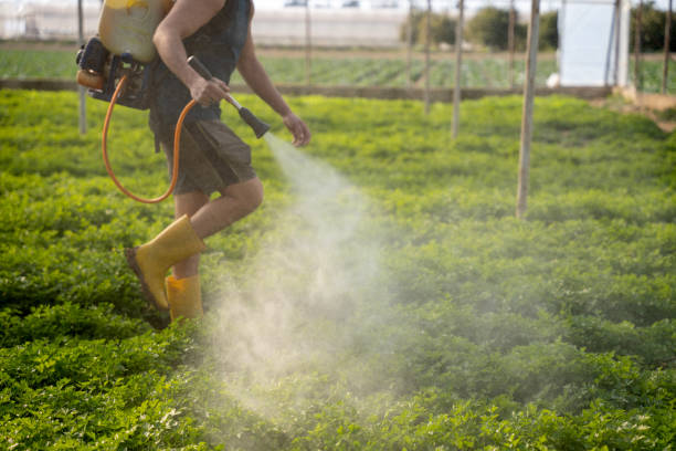 Best Pest Control Near Me  in Wendell, ID