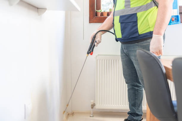Best Termite Control Services  in Wendell, ID
