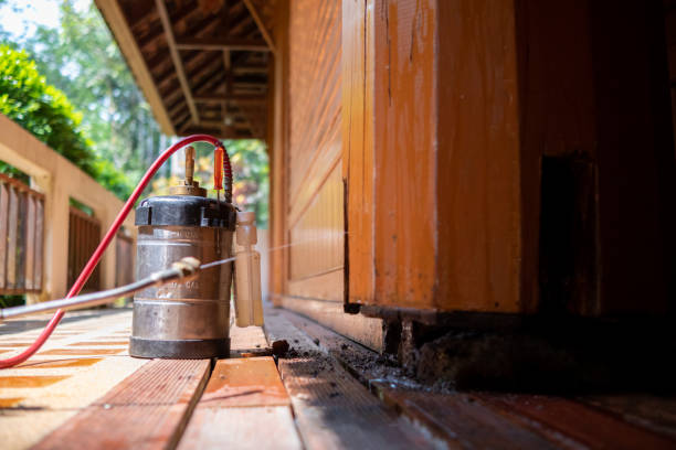 Best Pest Control Treatment  in Wendell, ID