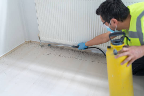 Best Best Pest Control Near Me  in Wendell, ID