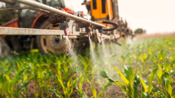 Best Ant Control Services  in Wendell, ID