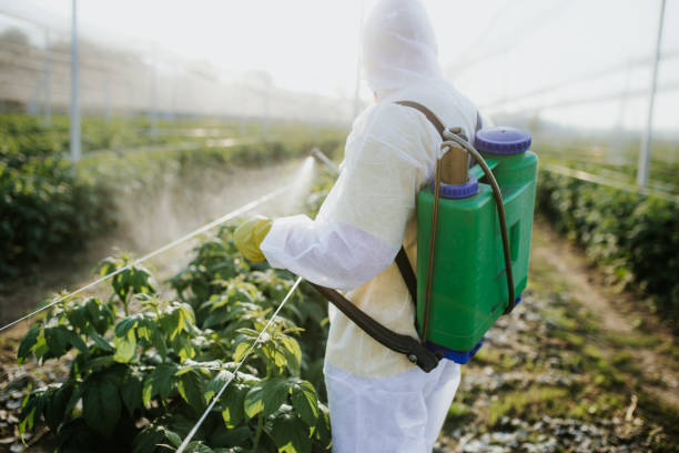 Best Ant Control Services  in Wendell, ID